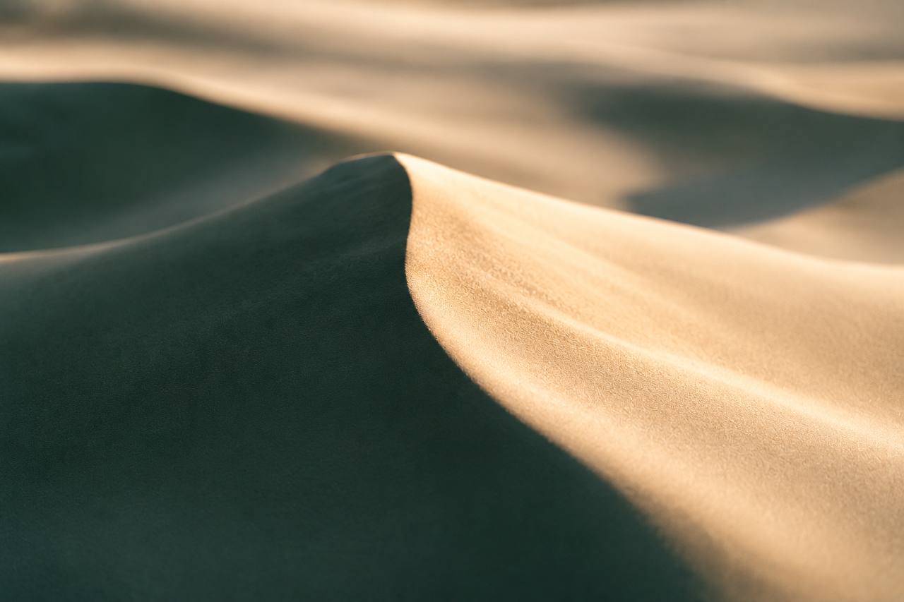 A smooth cream surface with one rising ridge catching warm light